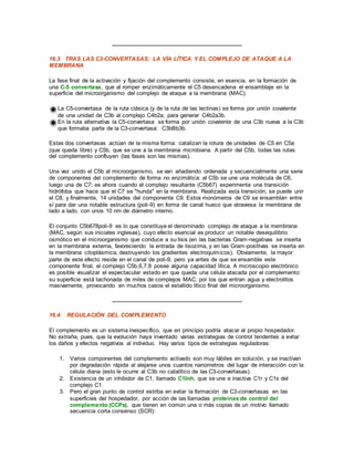 16.3 TRAS LAS C3-CONVERTASAS: LA VÍA LÍTICA Y EL COMPLEJO DE ATAQUE A LA
MEMBRANA
La fase final de la activación y fijación del complemento consiste, en esencia, en la formación de
una C-5 convertasa, que al romper enzimáticamente el C5 desencadena el ensamblaje en la
superficie del microorganismo del complejo de ataque a la membrana (MAC).
La C5-convertasa de la ruta clásica (y de la ruta de las lectinas) se forma por unión covalente
de una unidad de C3b al complejo C4b2a, para generar C4b2a3b.
En la ruta alternativa la C5-convertasa se forma por unión covalente de una C3b nueva a la C3b
que formaba parte de la C3-convertasa: C3bBb3b.
Estas dos convertasas actúan de la misma forma: catalizan la rotura de unidades de C5 en C5a
(que queda libre) y C5b, que se une a la membrana microbiana. A partir del C5b, todas las rutas
del complemento confluyen (las fases son las mismas).
Una vez unido el C5b al microorganismo, se van añadiendo ordenada y secuencialmente una serie
de componentes del complemento de forma no enzimática: al C5b se une una molécula de C6,
luego una de C7; es ahora cuando el complejo resultante (C5b67) experimenta una transición
hidrófoba que hace que el C7 se "hunda" en la membrana. Realizada esta transición, se puede unir
el C8, y finalmente, 14 unidades del componente C9. Estos monómeros de C9 se ensamblan entre
sí para dar una notable estructura (poli-9) en forma de canal hueco que atraviesa la membrana de
lado a lado, con unos 10 nm de diámetro interno.
El conjunto C5b678poli-9 es lo que constituye el denominado complejo de ataque a la membrana
(MAC, según sus iniciales inglesas), cuyo efecto esencial es producir un notable desequilibrio
osmótico en el microorganismo que conduce a su lisis (en las bacterias Gram-negativas se inserta
en la membrana externa, favoreciendo la entrada de lisozima, y en las Gram-positivas se inserta en
la membrana citoplásmica, destruyendo los gradientes electroquímicos). Obviamente, la mayor
parte de este efecto reside en el canal de poli-9, pero ya antes de que se ensamble este
componente final, el complejo C5b,6,7,8 posee alguna capacidad lítica. A microscopio electrónico
es posible visualizar el espectacular estado en que queda una célula atacada por el complemento:
su superficie está tachonada de miles de complejos MAC, por los que entran agua y electrolitos
masivamente, provocando en muchos casos el estallido lítico final del microorganismo.
16.4 REGULACIÓN DEL COMPLEMENTO
El complemento es un sistema inespecífico, que en principio podría atacar al propio hospedador.
No extraña, pues, que la evolución haya inventado varias estrategias de control tendentes a evitar
los daños y efectos negativos al individuo. Hay varios tipos de estrategias reguladoras:
1. Varios componentes del complemento activado son muy lábiles en solución, y se inactivan
por degradación rápida al alejarse unos cuantos nanometros del lugar de interacción con la
célula diana (esto le ocurre al C3b no catalítico de las C3-convertasas).
2. Existencia de un inhibidor de C1, llamado C1Inh, que se une e inactiva C1r y C1s del
complejo C1.
3. Pero el gran punto de control estriba en evitar la formación de C3-convertasas en las
superficies del hospedador, por acción de las llamadas proteínas de control del
complemento (CCPs), que tienen en común una o más copias de un motivo llamado
secuencia corta consenso (SCR):
 