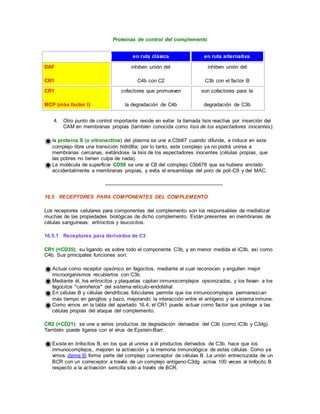 Proteínas de control del complemento
en ruta clásica en ruta alternativa
DAF
CR1
inhiben unión del
C4b con C2
inhiben unión del
C3b con el factor B
CR1
MCP (más factor I)
cofactores que promueven
la degradación de C4b
son cofactores para la
degradación de C3b
4. Otro punto de control importante reside en evitar la llamada lisis reactiva por inserción del
CAM en membranas propias (también conocida como lisis de los espectadores inocentes):
la proteína S (o vitronectina) del plasma se une a C5b67 cuando difunde, e induce en este
complejo libre una transición hidrófila; por lo tanto, este complejo ya no podrá unirse a
membranas cercanas, evitándose la lisis de los espectadores inocentes (células propias, que
las pobres no tienen culpa de nada).
La molécula de superficie CD59 se une al C8 del complejo C5b678 que se hubiera anclado
accidentalmente a membranas propias, y evita el ensamblaje del poro de poli-C9 y del MAC.
16.5 RECEPTORES PARA COMPONENTES DEL COMPLEMENTO
Los receptores celulares para componentes del complemento son los responsables de mediatizar
muchas de las propiedades biológicas de dicho complemento. Están presentes en membranas de
células sanguíneas: eritrocitos y leucocitos.
16.5.1 Receptores para derivados de C3
CR1 (=CD35): su ligando es sobre todo el componente C3b, y en menor medida el iC3b, así como
C4b. Sus principales funciones son:
Actuar como receptor opsónico en fagocitos, mediante el cual reconocen y engullen mejor
microorganismos recubiertos con C3b.
Mediante él, los eritrocitos y plaquetas captan inmunocomplejos opsonizados, y los llevan a los
fagocitos "carroñeros" del sistema retículo-endotelial.
En células B y células dendríticas foliculares permite que los inmunocomplejos permanezcan
más tiempo en ganglios y bazo, mejorando la interacción entre el antígeno y el sistema inmune.
Como vimos en la tabla del apartado 16.4, el CR1 puede actuar como factor que protege a las
células propias del ataque del complemento.
CR2 (=CD21): se une a varios productos de degradación derivados del C3b (como iC3b y C3dg).
También puede ligarse con el virus de Epstein-Barr.
Existe en linfocitos B, en los que al unirse a él productos derivados de C3b, hace que los
inmunocomplejos, mejoren la activación y la memoria inmunológica de estas células. Como ya
vimos (tema 6) forma parte del complejo correceptor de células B. La unión entrecruzada de un
BCR con un correceptor a través de un complejo antígeno-C3dg activa 100 veces al linfocito B
respecto a la activación sencilla solo a través de BCR.
 