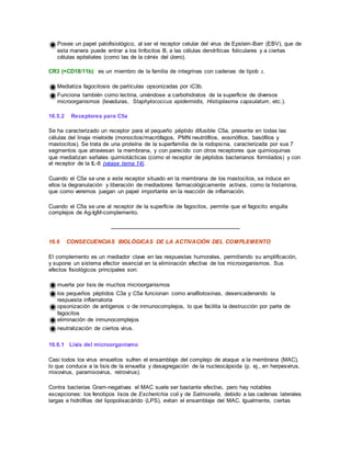 Posee un papel patofisiológico, al ser el receptor celular del virus de Epstein-Barr (EBV), que de
esta manera puede entrar a los linfocitos B, a las células dendríticas foliculares y a ciertas
células epiteliales (como las de la cérvix del útero).
CR3 (=CD18/11b): es un miembro de la familia de integrinas con cadenas de tipob 2.
Mediatiza fagocitosis de partículas opsonizadas por iC3b.
Funciona también como lectina, uniéndose a carbohidratos de la superficie de diversos
microorganismos (levaduras, Staphylococcus epidermidis, Histoplasma capsulatum, etc.).
16.5.2 Receptores para C5a
Se ha caracterizado un receptor para el pequeño péptido difusible C5a, presente en todas las
células del linaje mieloide (monocitos/macrófagos, PMN neutrófilos, eosinófilos, basófilos y
mastocitos). Se trata de una proteína de la superfamilia de la rodopsina, caracterizada por sus 7
segmentos que atraviesan la membrana, y con parecido con otros receptores que quimioquinas
que mediatizan señales quimiotácticas (como el receptor de péptidos bacterianos formilados) y con
el receptor de la IL-8 (véase tema 14).
Cuando el C5a se une a este receptor situado en la membrana de los mastocitos, se induce en
ellos la degranulación y liberación de mediadores farmacológicamente activos, como la histamina,
que como veremos juegan un papel importante en la reacción de inflamación.
Cuando el C5a se une al receptor de la superficie de fagocitos, permite que el fagocito engulla
complejos de Ag-IgM-complemento.
16.6 CONSECUENCIAS BIOLÓGICAS DE LA ACTIVACIÓN DEL COMPLEMENTO
El complemento es un mediador clave en las respuestas humorales, permitiendo su amplificación,
y supone un sistema efector esencial en la eliminación efectiva de los microorganismos. Sus
efectos fisiológicos principales son:
muerte por lisis de muchos microorganismos
los pequeños péptidos C3a y C5a funcionan como anafilotoxinas, desencadenando la
respuesta inflamatoria
opsonización de antígenos o de inmunocomplejos, lo que facilita la destrucción por parte de
fagocitos
eliminación de inmunocomplejos
neutralización de ciertos virus.
16.6.1 Lisis del microorganismo
Casi todos los virus envueltos sufren el ensamblaje del complejo de ataque a la membrana (MAC),
lo que conduce a la lisis de la envuelta y desagregación de la nucleocápsida (p. ej., en herpesvirus,
mixovirus, paramixovirus, retrovirus).
Contra bacterias Gram-negativas el MAC suele ser bastante efectivo, pero hay notables
excepciones: los fenotipos lisos de Escherichia coli y de Salmonella, debido a las cadenas laterales
largas e hidrófilas del lipopolisacárido (LPS), evitan el ensamblaje del MAC. Igualmente, ciertas
 