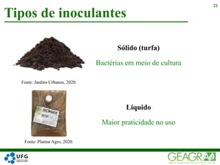 Sólido (turfa)
Bactérias em meio de cultura
Tipos de inoculantes
21
Líquido
Maior praticidade no uso
Fonte: Jardins Urbanos, 2020.
Fonte: Plantar Agro, 2020.
 
