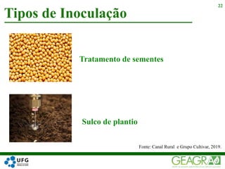 Tipos de Inoculação
22
Tratamento de sementes
Sulco de plantio
Fonte: Canal Rural e Grupo Cultivar, 2019.
 