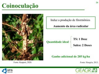 Coinoculação
24
Induz a produção de fitormônios
Aumento da área radicular
Fonte: Koppert, 2020.
Ganho adicional de 205 kg/ha
TS: 1 Dose
Sulco: 2 Doses
Fonte: Hungria, 2013.
Quantidade ideal
 
