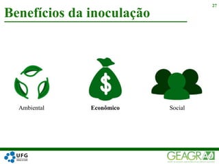 Benefícios da inoculação
27
Ambiental Econômico Social
 