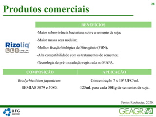 Produtos comerciais
28
Bradyrhizobium japonicum
SEMIAS 5079 e 5080.
BENEFÍCIOS
COMPOSIÇÃO APLICAÇÃO
-Maior sobrevivência bacteriana sobre a semente de soja;
-Maior massa seca nodular;
-Melhor fixação biológica de Nitrogênio (FBN);
-Alta compatibilidade com os tratamentos de sementes;
-Tecnologia de pré-inoculação registrada no MAPA.
Concentração 7 x 109 UFC/ml.
125mL para cada 50Kg de sementes de soja.
Fonte: Rizobacter, 2020.
 