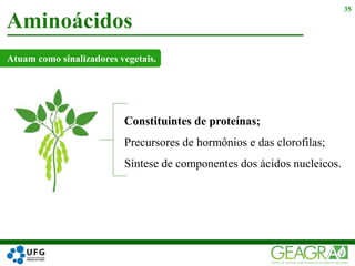Aminoácidos
35
Constituintes de proteínas;
Precursores de hormônios e das clorofilas;
Síntese de componentes dos ácidos nucleicos.
Atuam como sinalizadores vegetais.
 