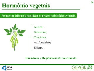 Hormônio vegetais
36
Hormônios ≠ Reguladores de crescimento
Auxina;
Giberelina;
Citocinina;
Ac. Abscísico;
Etileno.
Promovem, inibem ou modificam os processos fisiológicos vegetais.
 