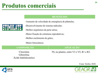 -Aumento da velocidade de emergência de plântulas;
-Desenvolvimento do sistema radicular;
-Melhor arquitetura da parte aérea;​
-Maior fixação de estruturas reprodutivas;
-Melhor enchimento de grãos;
-Maior fotossíntese;
Produtos comerciais
39
Citocinina
Giberelina
Ácido Indolalcanóico
Fonte: Stoller, 2020.
TS, no plantio, entre V3 e V5, R1 e R3.
COMPOSIÇÃO APLICAÇÃO
BENEFÍCIOS
 