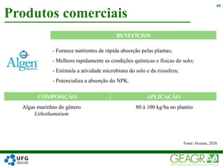 - Fornece nutrientes de rápida absorção pelas plantas;
- Melhora rapidamente as condições químicas e físicas do solo;
- Estimula a atividade microbiana do solo e da rizosfera;
- Potencializa a absorção do NPK.
Produtos comerciais
40
Algas marinhas do gênero
Lithothamnium
Fonte: Oceana, 2020.
80 à 100 kg/ha no plantio
BENEFÍCIOS
COMPOSIÇÃO APLICAÇÃO
 