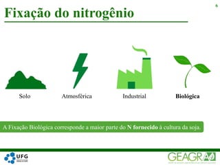 Fixação do nitrogênio
6
Atmosférica Industrial Biológica
A Fixação Biológica corresponde a maior parte do N fornecido à cultura da soja.
Solo
 