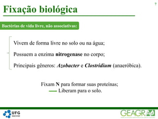 Vivem de forma livre no solo ou na água;
Possuem a enzima nitrogenase no corpo;
Principais gêneros: Azobacter e Clostridium (anaeróbica).
Fixação biológica
7
Bactérias de vida livre, não associativas:
Fixam N para formar suas proteínas;
Liberam para o solo.
 