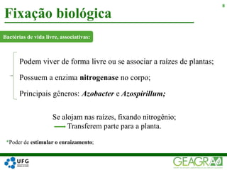 Podem viver de forma livre ou se associar a raízes de plantas;
Possuem a enzima nitrogenase no corpo;
Principais gêneros: Azobacter e Azospirillum;
Fixação biológica
8
Bactérias de vida livre, associativas:
Se alojam nas raízes, fixando nitrogênio;
Transferem parte para a planta.
*Poder de estimular o enraizamento;
 
