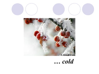  cold
 