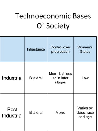 Social hierarchy essay 08 image