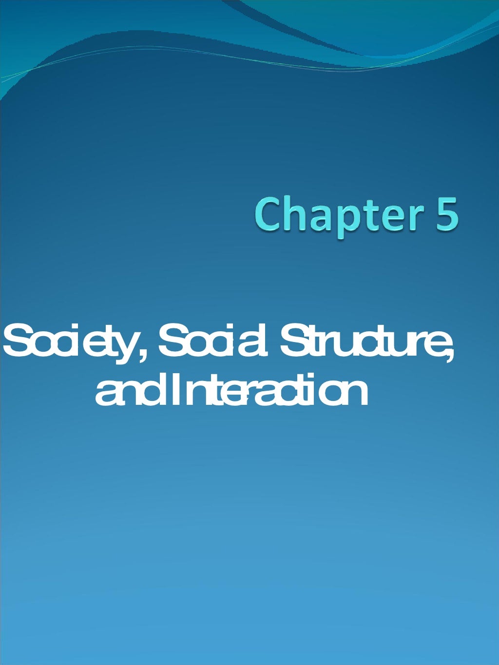 Social system essay image