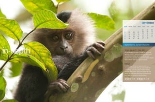 SEPTEMBER
SUN    MON TUE         WED THU         FRI        SAT

                               01      02         03
04     05      06      07      08      09         10
11     12      13      14      15      16         17
18     19      20      21      22      23         24
25     26      27      28      29      30




September 01, Ganesh Chaturthi


Virgo (Aug 23 - Sep 22)
An accelerated growth is likely for you in all
spheres in 2011. Safety is assured when you
consolidate matters at hand. Move your
projects in a positive direction for better results.
Team efforts shall give good rewards.


Kanya
In 2011 you will put a heavy burden on
yourself, constantly feeling responsible for
everything, including the smallest details.
Despite difficulties, ideas and plans fall into
place. You will have the help and resources
you need to transform the business.

w w w. i n - d e p t h . i n
 