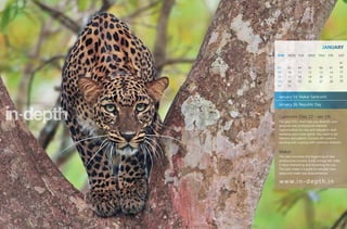 JANUARY
SUN   MON TUE        WED THU       FRI    SAT

                                           01
02    03     04      05      06     07     08
09    10     11      12      13     14     15
16    17     18      19      20     21     22
23    24     25      26      27     28     29
30    31


January 14, Makar Sankranti
January 26, Republic Day


Capricorn (Dec 22 - Jan 19)
The year 2011 shall help you diversify your
personal and professional interests.
Opportunities for rest and relaxation shall
revitalise your inner spirits. You need to be
tolerant and patient. Success will come in
working with a group with common interests.


Makar
This year promises the beginning of new
professional success. A job change will make
it more interesting and rewarding for you.
This year make it a point to consider new
ideas and make new acquaintances.

w w w. i n - d e p t h . i n
 