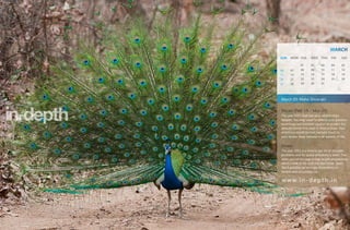 MARCH
SUN   MON TUE         WED THU        FRI     SAT

              01      02      03     04      05
06    07      08      09      10     11      12
13    14      15      16      17     18      19
20    21      22      23      24     25      26
27    28      29      30      31




March 03, Maha Shivaratri

Pisces (Feb 19 - Mar 20)
The year 2011 shall see your relationships
deepen. You may need to defend your position
assertively but maintain caution to protect the
delicate bonds that exist in relationships. Your
ambitions would be met partially much to
your favour. Keep balance in all aspects of life.


Meen
The year 2011 is a time to get rid of obsolete
problems and for active preparatory work. The
latter part of the year brings bright perspectives,
which come to life over the next three years.
You’ll possibly be strongly dependent on
people and circumstances.

w w w. i n - d e p t h . i n
 