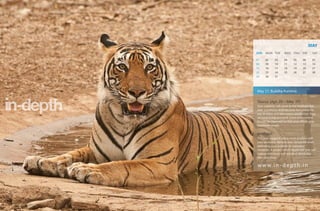 MAY
SUN   MON TUE        WED THU        FRI     SAT

01    02      03     04      05     06      07
08    09      10     11      12     13      14
15    16      17     18      19     20      21
22    23      24     25      26     27      28
29    30      31




May 17, Buddha Purnima

Taurus (Apr 20 - May 20)
Your creativity will come to the forefront this
year. Conditions shall become favourable for
you to enjoy and experience satisfaction. Your
personal living and work place environment
should be improved so that your efforts give
maximum results.


Vrishabh
This year suggests being more prudent with
your decisions. Remain even tempered when
defending your position to overcome
obstacles. A project which began last year will
change directions and establish absolutely
new objectives.

w w w. i n - d e p t h . i n
 