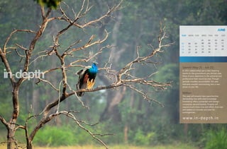 JUNE
SUN   MON TUE       WED THU        FRI    SAT

                    01      02     03     04
05    06     07     08      09     10     11
12    13     14     15      16     17     18
19    20     21     22      23     24     25
26    27     28     29      30




Gemini (May 21 - Jun 21)
In 2011 relationships get a new meaning
thanks to the groundwork you did last year.
Most of your objectives in the personal and
professional field would be met. Though
periodic troubles are probable, this year
indicates smooth transitioning into a new
phase of your life.


Mithun
This year will present new opportunities
demanding new skills and knowledge.
Interesting offers connected with foreign
companies are anticipated. Projects will
require much more time and effort, than was
anticipated so consider and plan for
contingencies.


w w w. i n - d e p t h . i n
 