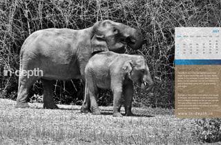 JULY
SUN    MON TUE       WED THU       FRI     SAT

                                   01      02
03     04    05      06     07     08      09
10     11    12      13     14     15      16
17     18    19      20     21     22      23
24     25    26      27     28     29      30
31




Cancer (Jun 22 - Jul 22)
The efforts put in for the last few years shall
begin to give results this year. Success always
comes in big packages in your case. Some slow
down can be expected, but do not heed to it
and instead keep going with all your energy
and might.


Kark
Changes in the professional sphere that began
in the past, will continue. A new business line
won’t probably develop as fast as was planned.
This year advises you to be prudent in
communications and to rely only on your own
power and opportunities.

w w w. i n - d e p t h . i n
 