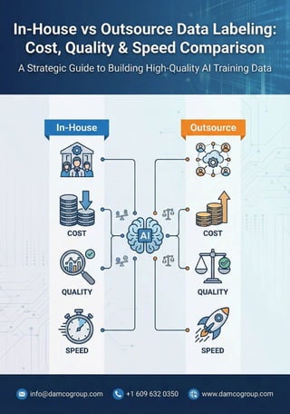 In-House vs Outsource Data Labeling Cost, Quality & Speed Comparison | PDF
