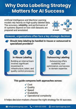 In-House vs Outsource Data Labeling Cost, Quality & Speed Comparison | PDF