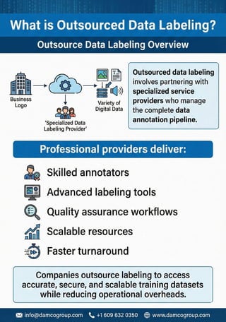 In-House vs Outsource Data Labeling Cost, Quality & Speed Comparison | PDF