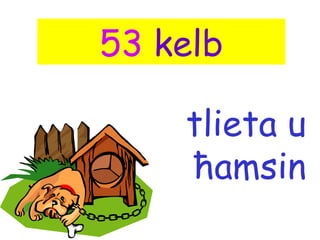 53 kelb

    tlieta u
    ħamsin
 