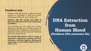 DNA Extraction
from
Human Blood
(FlexiGene DNA extraction Kit)
FlexiGene kits:
• FlexiGene DNA Kits provide a rapid and simple
method for purification of DNA from human
whole blood, buffy coat, and cultured cells.
• FlexiGene DNA Kits provide good yields of
high-purity DNA that is free from contaminants
or inhibitors.
• The procedure can be scaled up or down,
allowing purification from variable amounts of
starting material. Purification is performed in a
single tube, which reduces waste and minimizes
the risk of sample mix-up.
• The purified DNA performs well in a range of
downstream applications including PCR-based
techniques, restriction digestion, blotting, and
sequencing, or can be safely stored at 2–8°C or
–30 to –15°C.
 