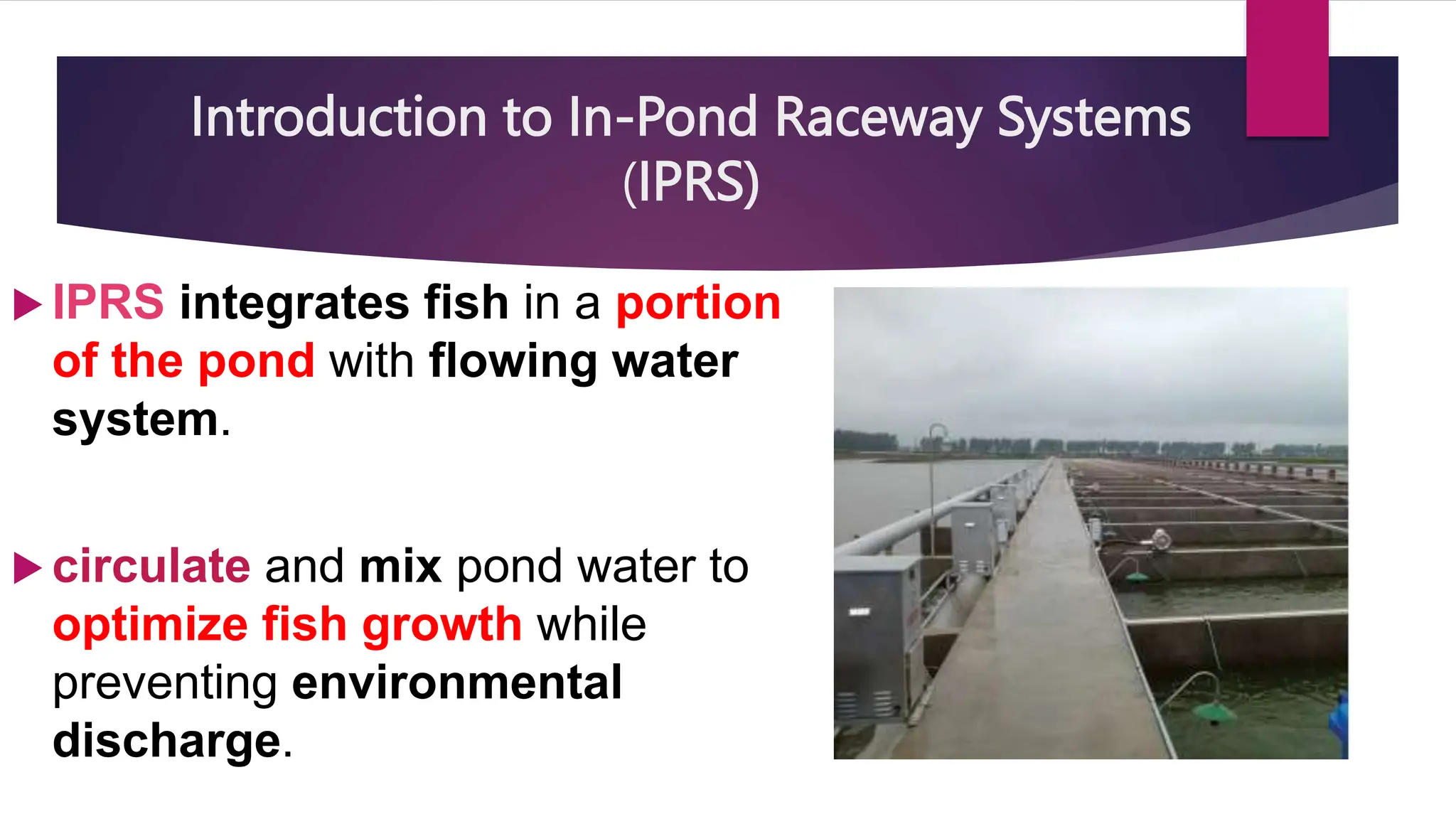 In-pond Race way systems for Aquaculture (IPRS).pptx