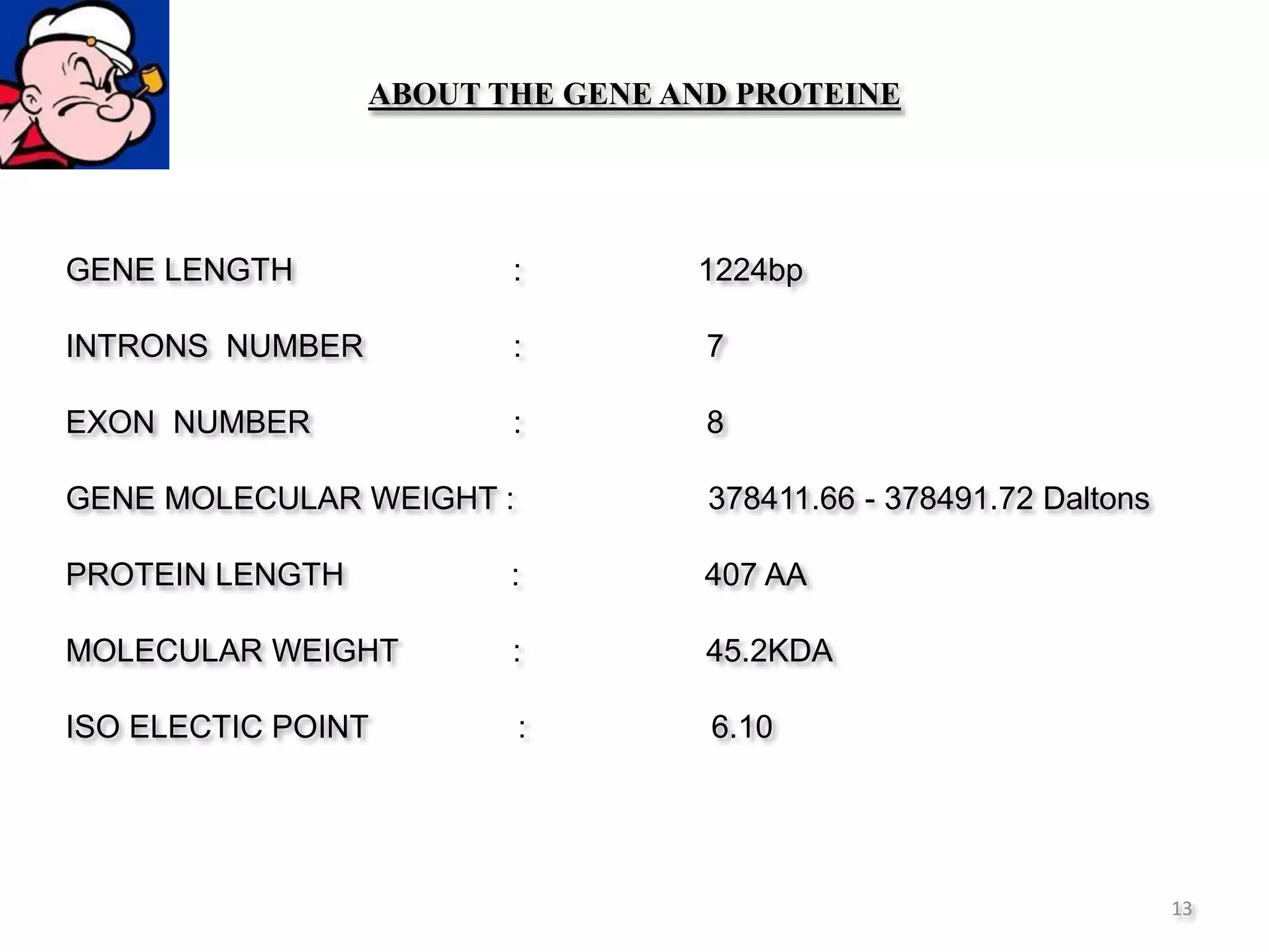 13
ABOUT THE GENE AND PROTEINE
GENE LENGTH : 1224bp
INTRONS NUMBER : 7
EXON NUMBER : 8
GENE MOLECULAR WEIGHT : 378411.66 - 378491.72 Daltons
PROTEIN LENGTH : 407 AA
MOLECULAR WEIGHT : 45.2KDA
ISO ELECTIC POINT : 6.10
 