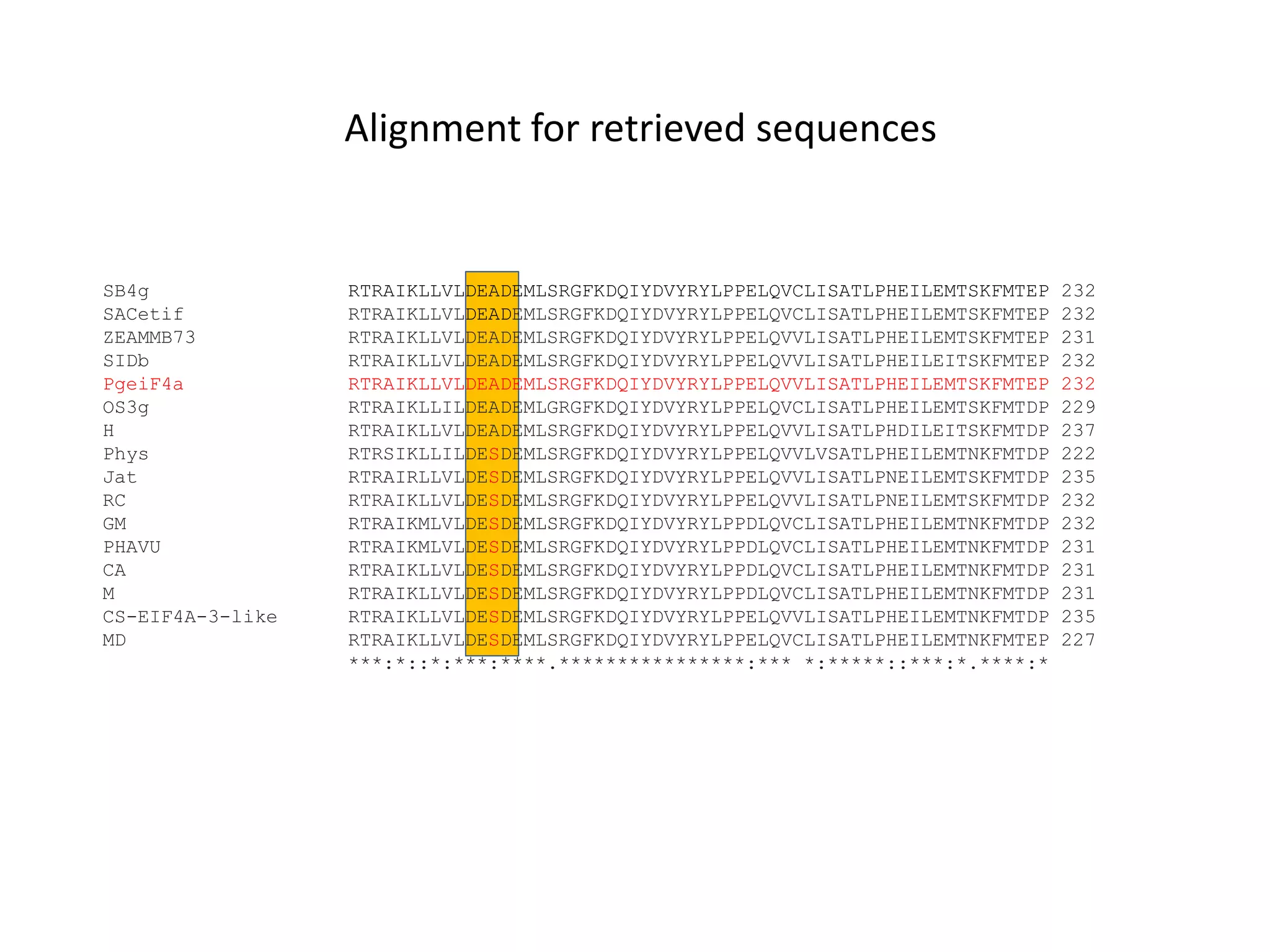 SB4g RTRAIKLLVLDEADEMLSRGFKDQIYDVYRYLPPELQVCLISATLPHEILEMTSKFMTEP 232
SACetif RTRAIKLLVLDEADEMLSRGFKDQIYDVYRYLPPELQVCLISATLPHEILEMTSKFMTEP 232
ZEAMMB73 RTRAIKLLVLDEADEMLSRGFKDQIYDVYRYLPPELQVVLISATLPHEILEMTSKFMTEP 231
SIDb RTRAIKLLVLDEADEMLSRGFKDQIYDVYRYLPPELQVVLISATLPHEILEITSKFMTEP 232
PgeiF4a RTRAIKLLVLDEADEMLSRGFKDQIYDVYRYLPPELQVVLISATLPHEILEMTSKFMTEP 232
OS3g RTRAIKLLILDEADEMLGRGFKDQIYDVYRYLPPELQVCLISATLPHEILEMTSKFMTDP 229
H RTRAIKLLVLDEADEMLSRGFKDQIYDVYRYLPPELQVVLISATLPHDILEITSKFMTDP 237
Phys RTRSIKLLILDESDEMLSRGFKDQIYDVYRYLPPELQVVLVSATLPHEILEMTNKFMTDP 222
Jat RTRAIRLLVLDESDEMLSRGFKDQIYDVYRYLPPELQVVLISATLPNEILEMTSKFMTDP 235
RC RTRAIKLLVLDESDEMLSRGFKDQIYDVYRYLPPELQVVLISATLPNEILEMTSKFMTDP 232
GM RTRAIKMLVLDESDEMLSRGFKDQIYDVYRYLPPDLQVCLISATLPHEILEMTNKFMTDP 232
PHAVU RTRAIKMLVLDESDEMLSRGFKDQIYDVYRYLPPDLQVCLISATLPHEILEMTNKFMTDP 231
CA RTRAIKLLVLDESDEMLSRGFKDQIYDVYRYLPPDLQVCLISATLPHEILEMTNKFMTDP 231
M RTRAIKLLVLDESDEMLSRGFKDQIYDVYRYLPPDLQVCLISATLPHEILEMTNKFMTDP 231
CS-EIF4A-3-like RTRAIKLLVLDESDEMLSRGFKDQIYDVYRYLPPELQVVLISATLPHEILEMTNKFMTDP 235
MD RTRAIKLLVLDESDEMLSRGFKDQIYDVYRYLPPELQVCLISATLPHEILEMTNKFMTEP 227
***:*::*:***:****.****************:*** *:*****::***:*.****:*
Alignment for retrieved sequences
 
