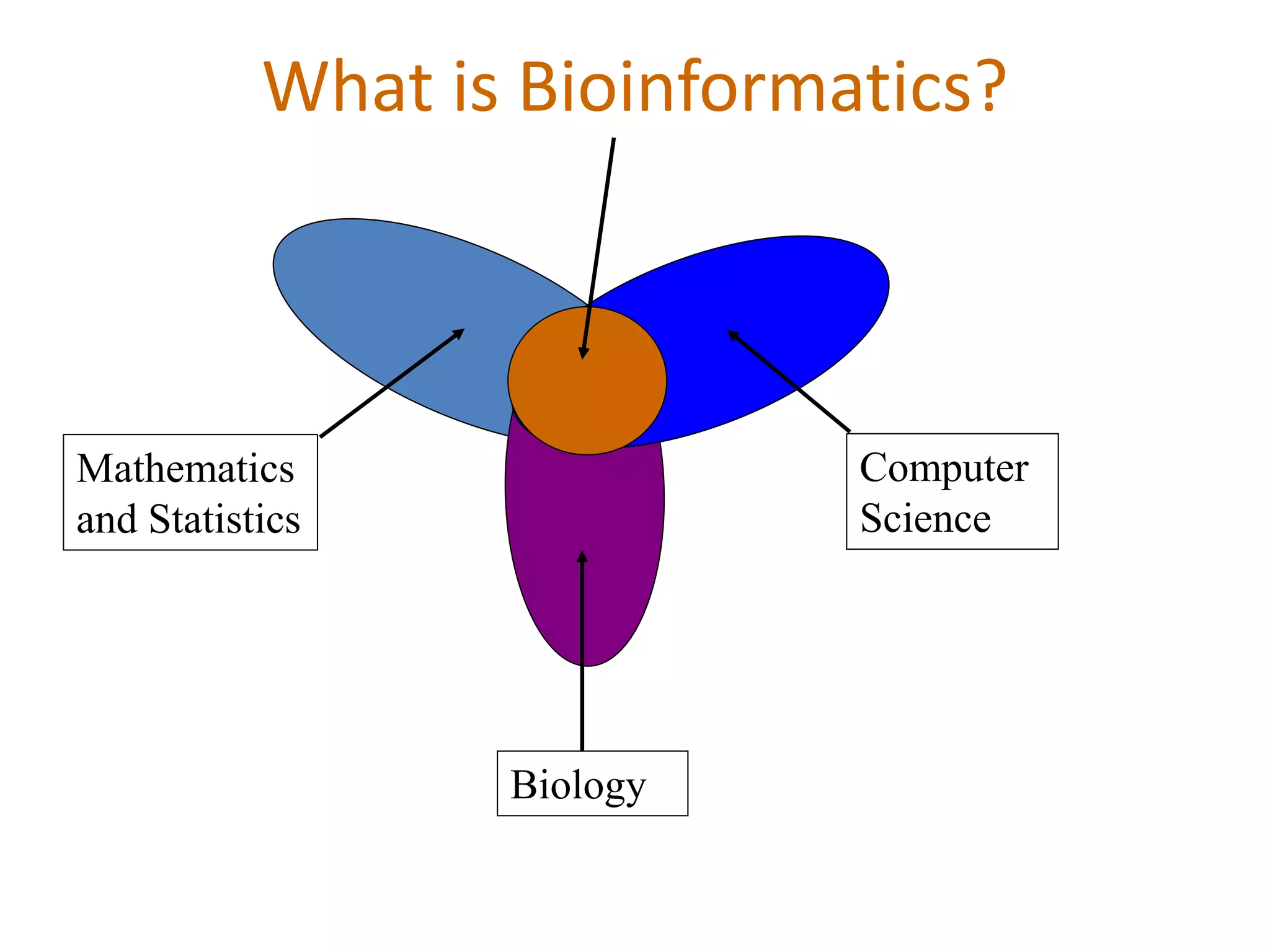 What is Bioinformatics?
Mathematics
and Statistics
Biology
Computer
Science
 
