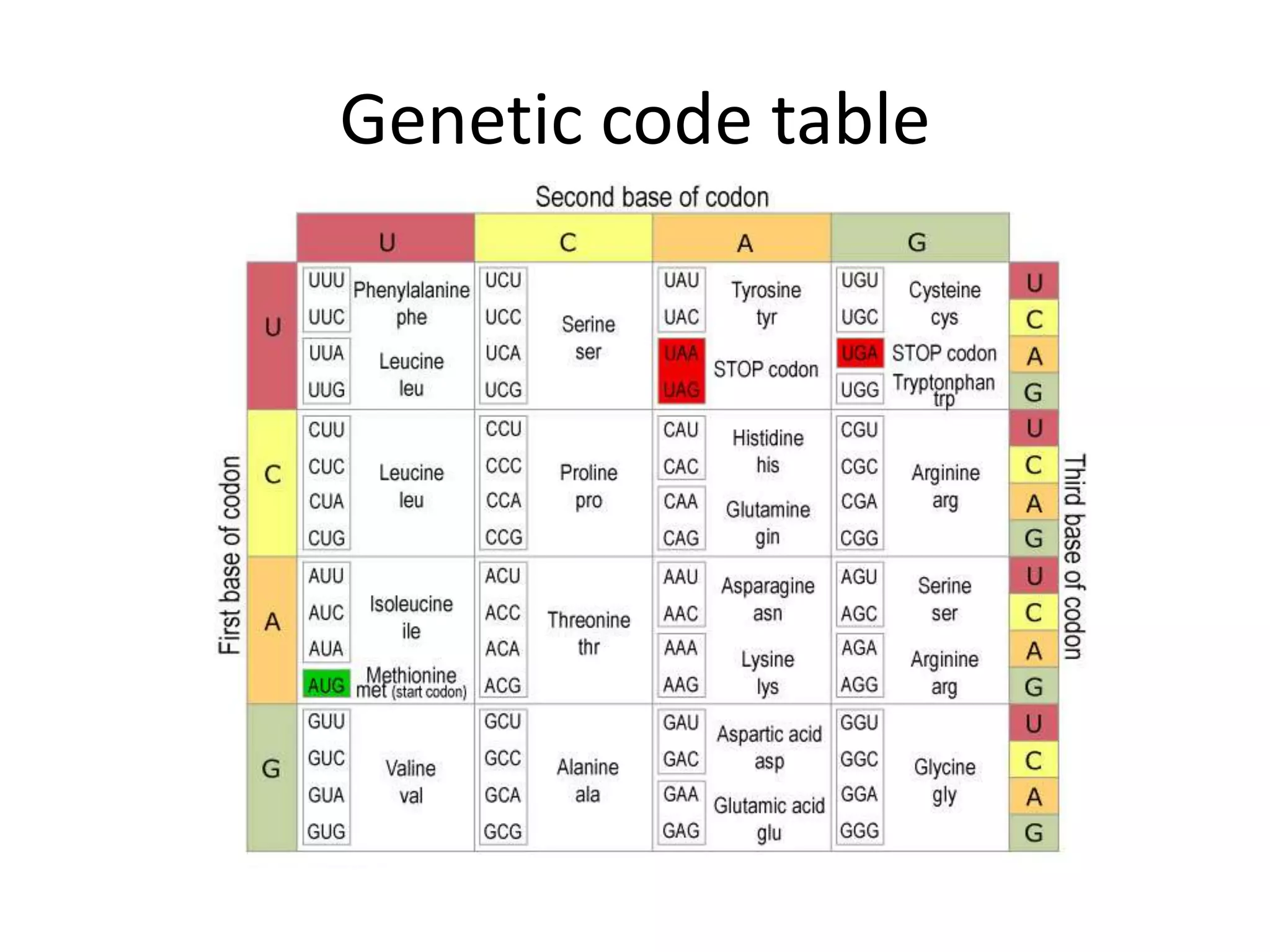 Genetic code table
 