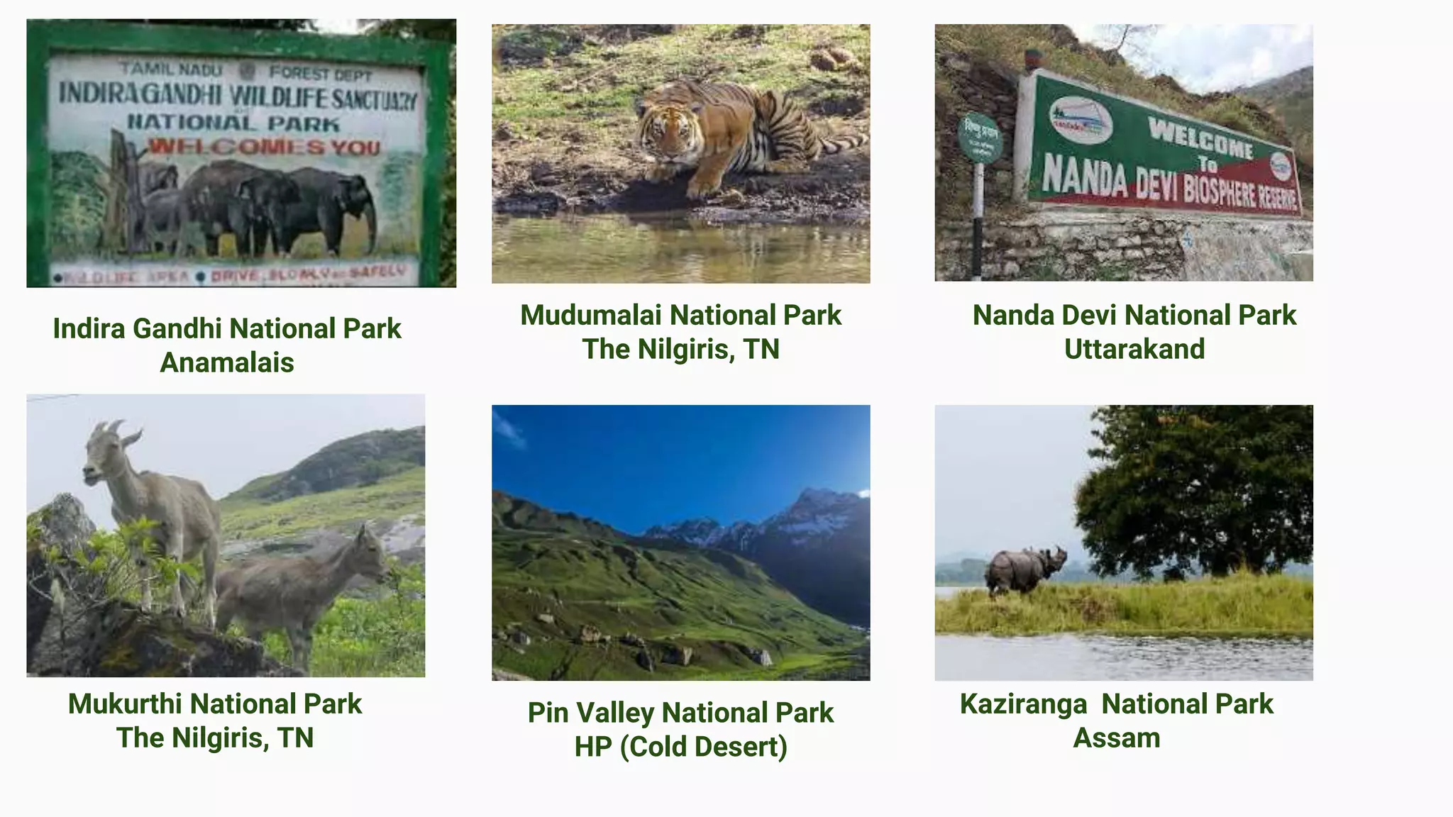 Indira Gandhi National Park
Anamalais
Mukurthi National Park
The Nilgiris, TN
Mudumalai National Park
The Nilgiris, TN
Nanda Devi National Park
Uttarakand
Pin Valley National Park
HP (Cold Desert)
Kaziranga National Park
Assam
 