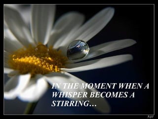 IN THE MOMENT WHEN A WHISPER BECOMES A  STIRRING…   