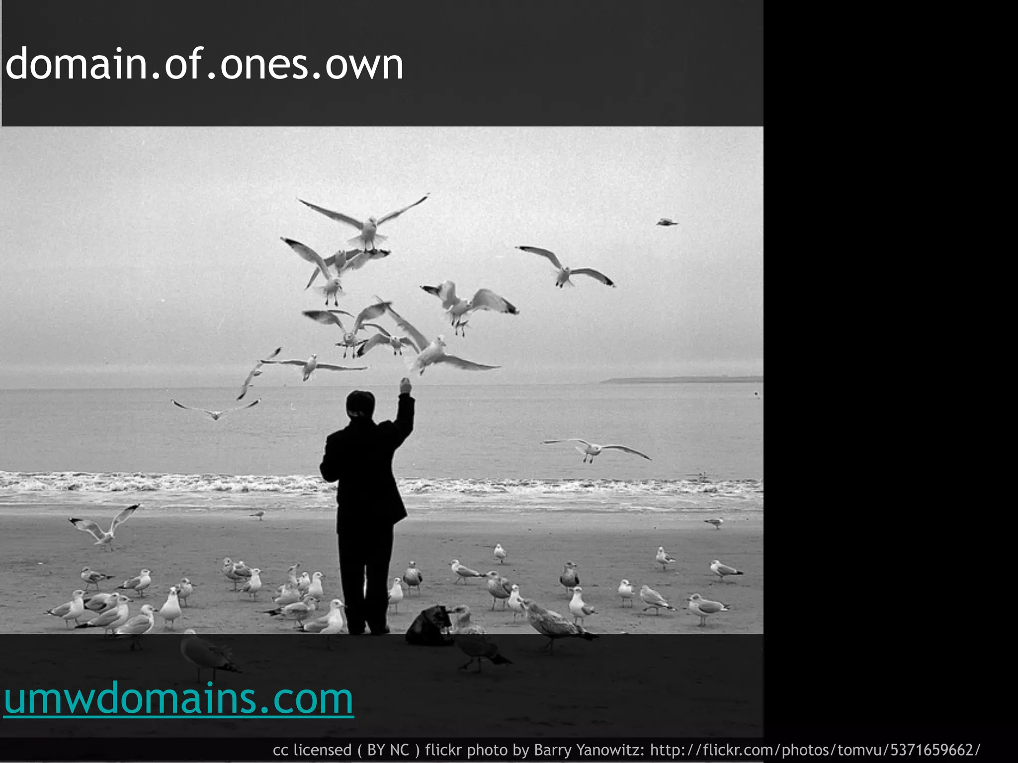 domain.of.ones.own




umwdomains.com
            cc licensed ( BY NC ) flickr photo by Barry Yanowitz: http://flickr.com/photos/tomvu/5371659662/
 