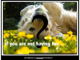?
if you are not having fun...
            cc licensed ( BY NC ND ) flickr photo by Jim's outside photos: http://flickr.co...
