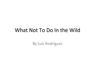 What Not To Do In the Wild By Luis Rodriguez 