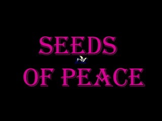 SEEDS  of PEACE 