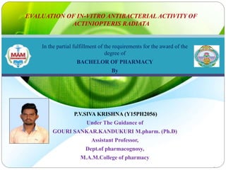 In the partial fulfillment of the requirements for the award of the
degree of
BACHELOR OF PHARMACY
By
P.V.SIVA KRISHNA (Y15PH2056)
Under The Guidance of
GOURI SANKAR.KANDUKURI M.pharm. (Ph.D)
Assistant Professor,
Dept.of pharmacognosy,
M.A.M.College of pharmacy
EVALUATION OF IN-VITRO ANTIBACTERIAL ACTIVITY OF
ACTINIOPTERIS RADIATA
 