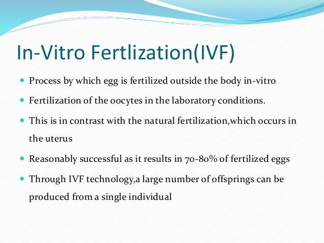 In Vitro Fertilization In Vitro Fertilization