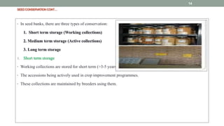SEEDCONSERVATIONCONT…
• In seed banks, there are three types of conservation:
1. Short term storage (Working collections)
2. Medium term storage (Active collections)
3. Long term storage
1. Short term storage
• Working collections are stored for short term (>3-5 years) at 10-15ºC at 10% moisture.
• The accessions being actively used in crop improvement programmes.
• These collections are maintained by breeders using them.
14
 
