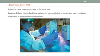 CRYOPRESERVATION
• Cryopreservation means preservation in the frozen state.
• Principle: To bring plant cell and tissue cultures to a zero metabolism or non-dividing state by reducing
temperature in the presence of cryoprotectants.
25
 