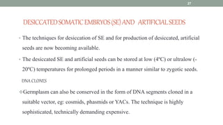 DESICCATEDSOMATICEMBRYOS(SE)AND ARTIFICIALSEEDS
• The techniques for desiccation of SE and for production of desiccated, artificial
seeds are now becoming available.
• The desiccated SE and artificial seeds can be stored at low (4ºC) or ultralow (-
20ºC) temperatures for prolonged periods in a manner similar to zygotic seeds.
DNA CLONES
Germplasm can also be conserved in the form of DNA segments cloned in a
suitable vector, eg: cosmids, phasmids or YACs. The technique is highly
sophisticated, technically demanding expensive.
27
 