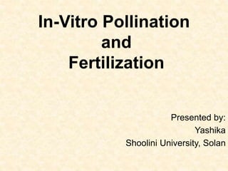 In-Vitro Pollination
and
Fertilization
Presented by:
Yashika
Shoolini University, Solan
 