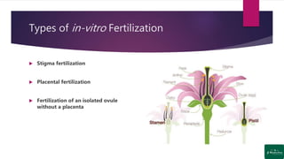 Culture of In-vitro Pollination and Fertilization in Plants | PPTX