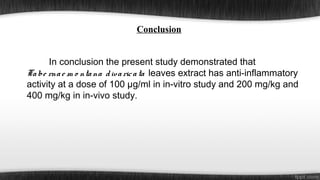 Conclusion
In conclusion the present study demonstrated that
Ta be rna e m o nta na d iv a ric a ta leaves extract has anti-inflammatory
activity at a dose of 100 µg/ml in in-vitro study and 200 mg/kg and
400 mg/kg in in-vivo study.

 