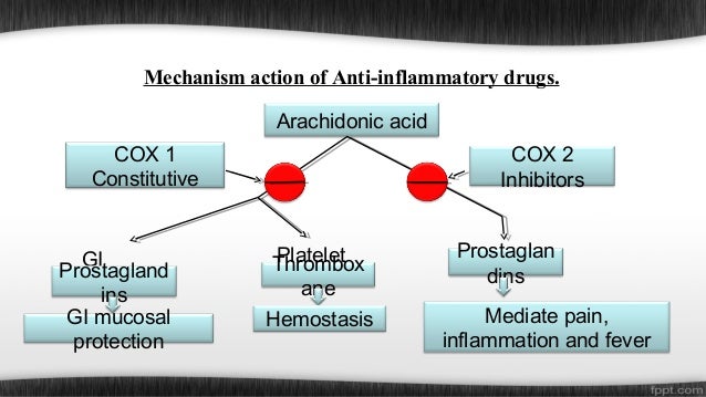 In vivo and invitro antiinflammatory study