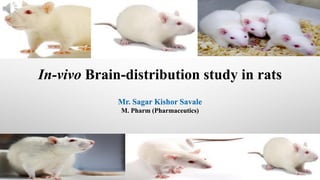 In-vivo Brain-distribution study in rats
Mr. Sagar Kishor Savale
M. Pharm (Pharmaceutics)
 